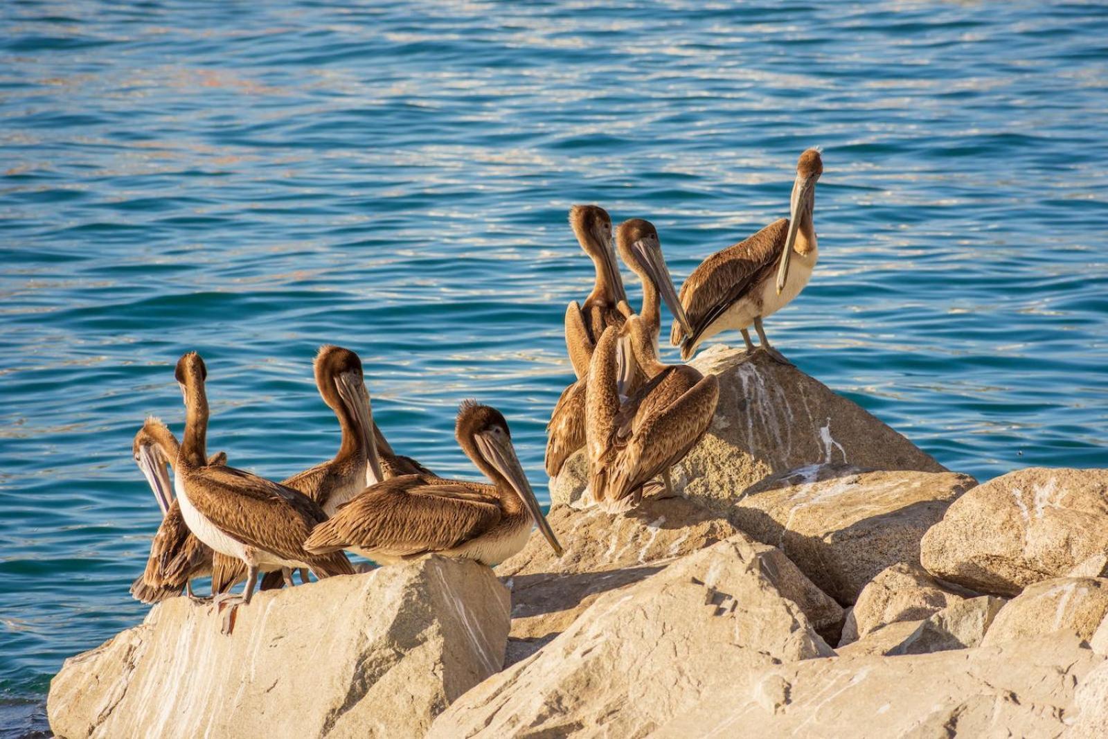 Morro Bay Beach Inn エクステリア 写真