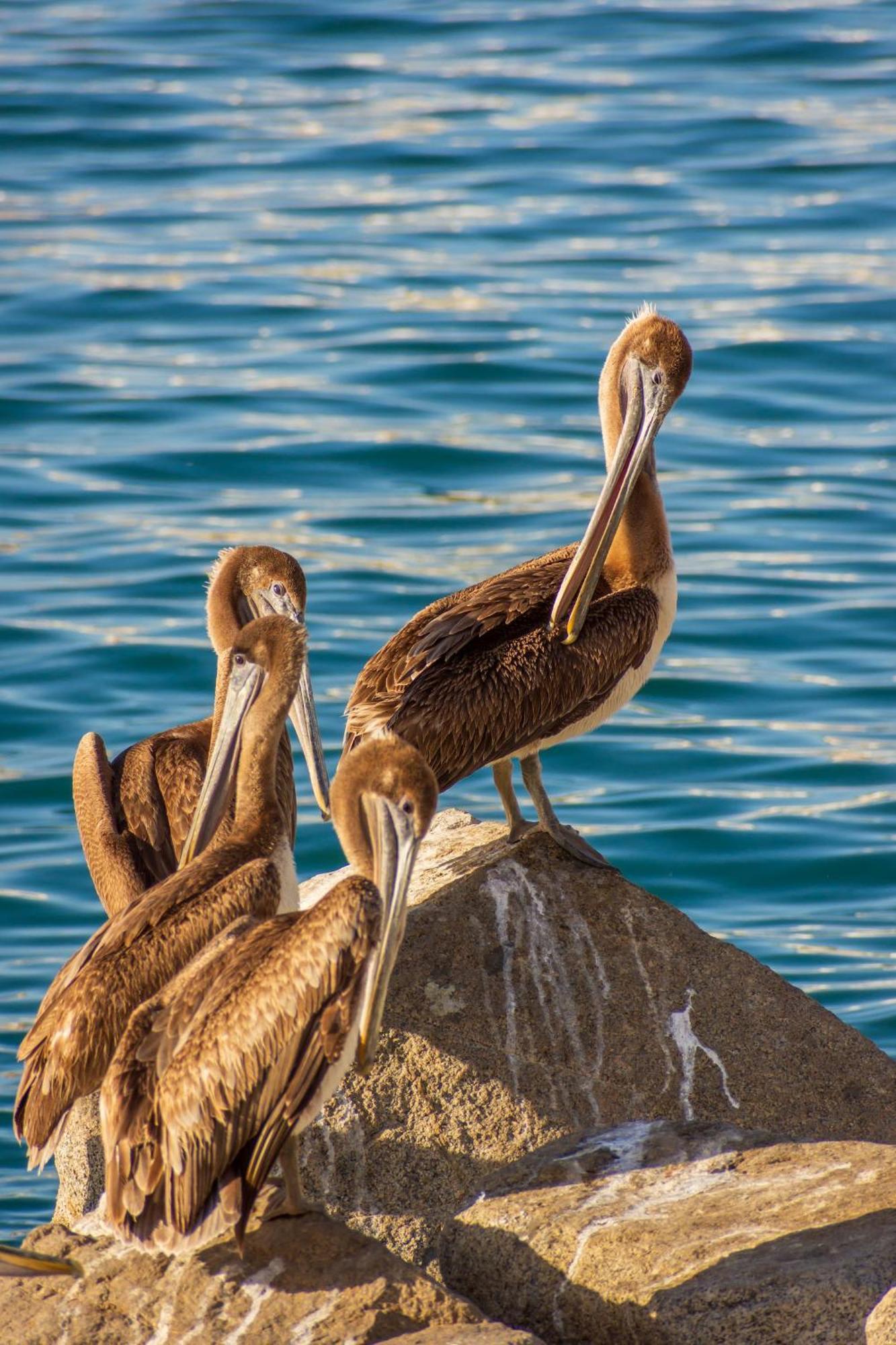 Morro Bay Beach Inn エクステリア 写真
